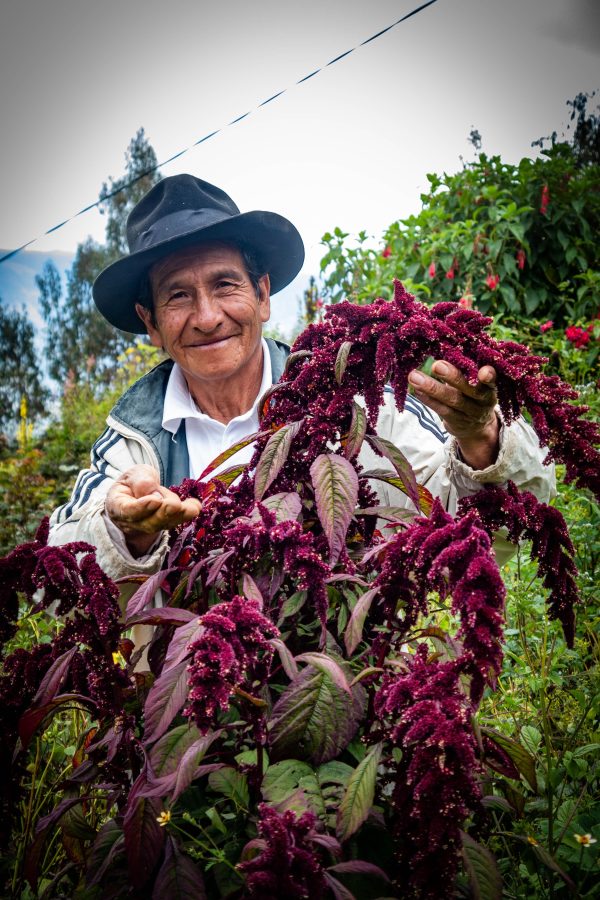 farmer-organic-farm-mountains-cusco-600x900